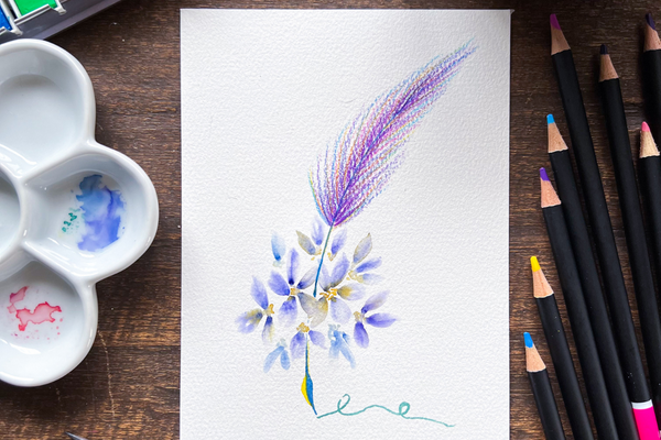 Easy Tips for Coloured Pencil Newbies