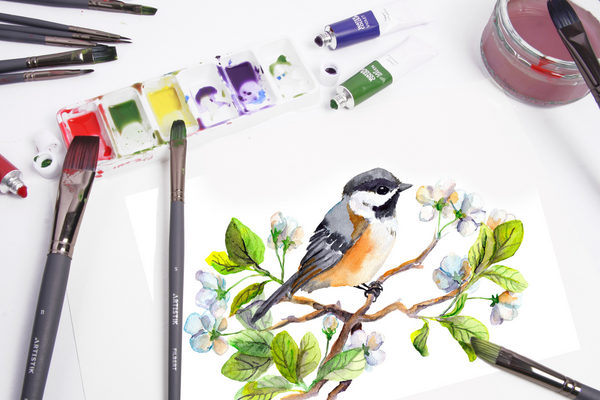 How To: Paint Birds in Watercolour