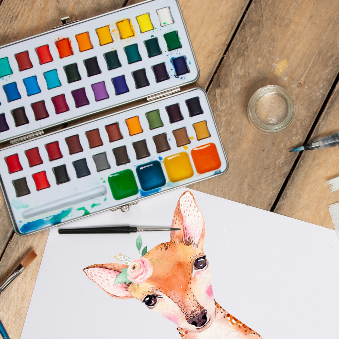 50 Watercolor Half Pan Paint Set